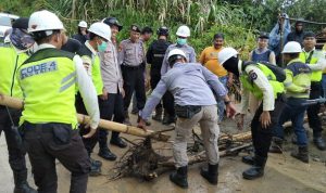 989831be-3bbf-4336-98c9-9b8c73bd14cd